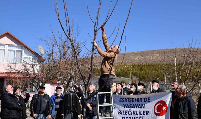 Tepebaşı'nda budama eğitimleri sürüyor