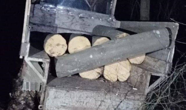 Tescilsiz tarım aletine yüklediği ağaçlarla yakalandı