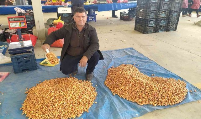 Tohumluk kuru soğanın kilogram fiyatını 5 TL'ye düştü