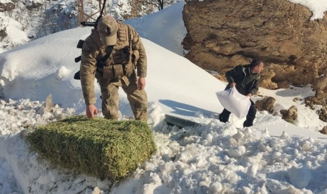 Tunceli&#039;de yaban hayvanları için doğaya yem bırakıldı