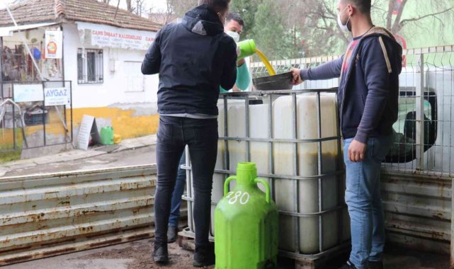 Turgutlu&#039;nun parklarındaki zeytinler ihtiyaç sahipleri için kullanılıyor