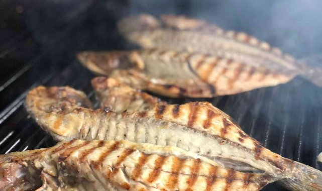 Ucuz balık Diyarbakır&#039;a ulaştı, ciğerin tahtı sallandı