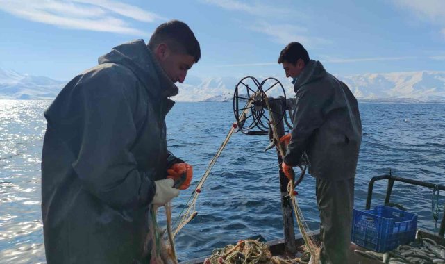 Üreme döneminde alınan tedbirler inci kefalinin çoğalmasını sağladı