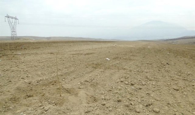 Üretime katkı için mera ve yaylaklar kiralanacak