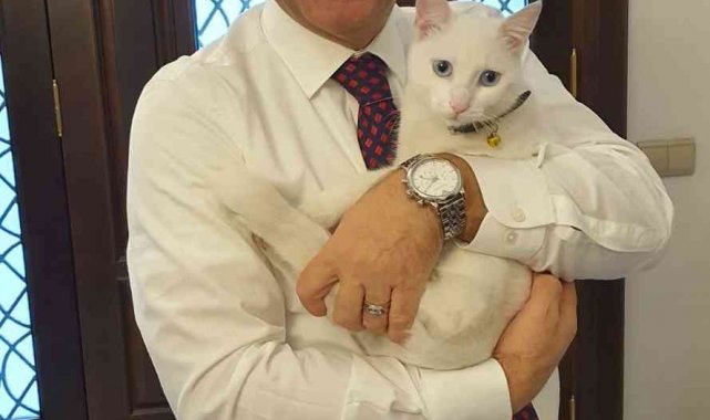 Vali Aksoy, "Canlara sahip çıkalım"