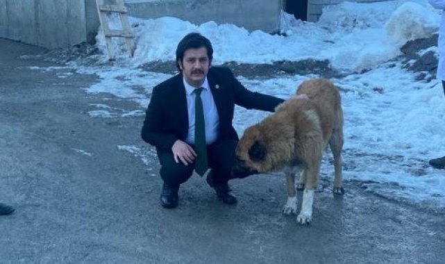 Vali Yardımcısı Kasımoğlu, şiddet gören iki köpeği sahiplendi