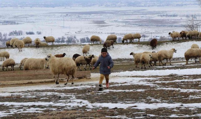 Valilik'ten yayla ve mera kullanımı genelgesi