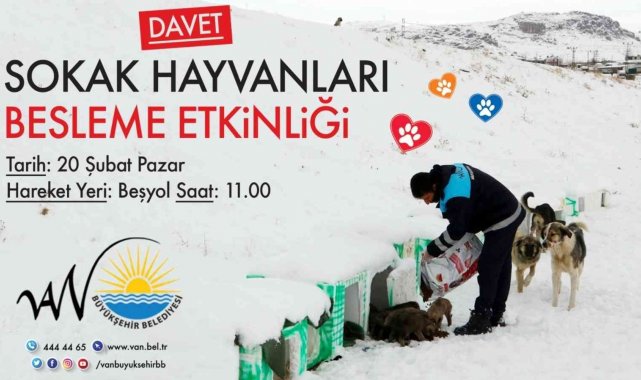 Van Büyükşehir Belediyesinden sokak hayvanları için beslenme etkinliği