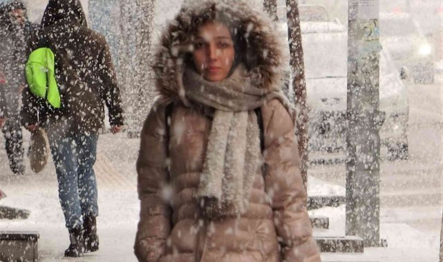 Van'da lapa lapa kar yağışı