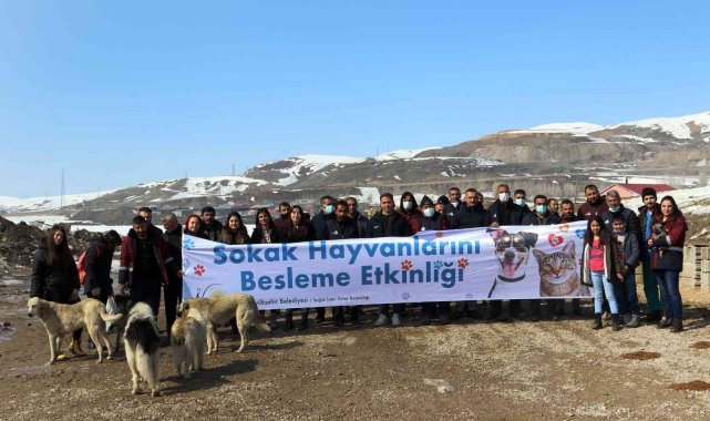 Van&#039;da sokak hayvanları için besleme etkinliği
