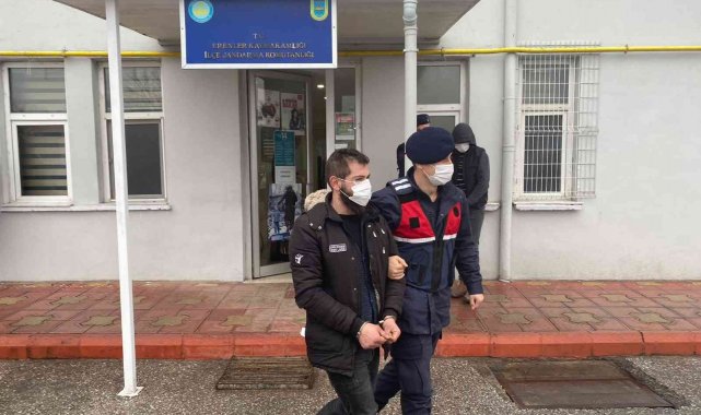 Vinçle konteyner çalarken jandarmaya yakalandı