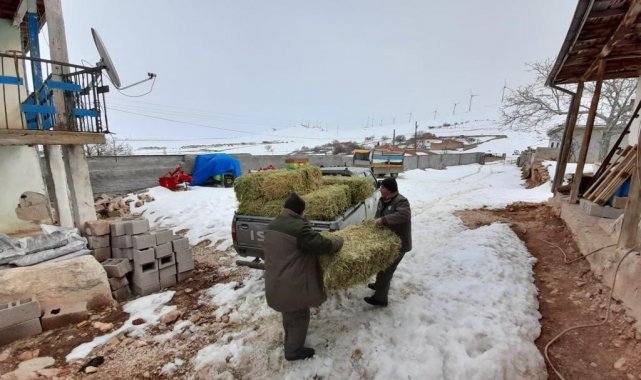 Yaban hayatına köylü ve hayırseverlerden destek