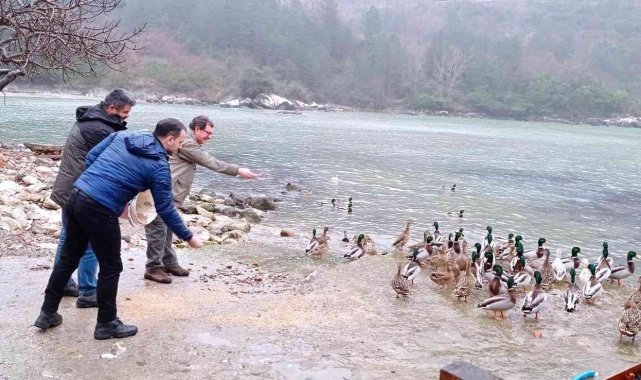 Yaban hayvanları için 50 kilogram yem bırakıldı