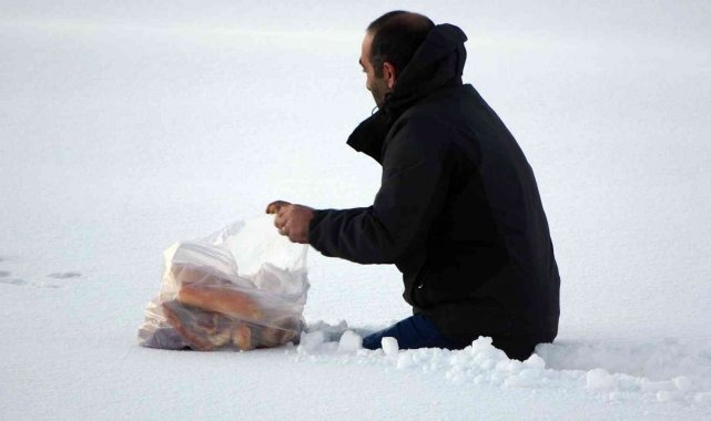 Yaban hayvanları için beline kadar kara batarak doğaya ekmek bıraktı