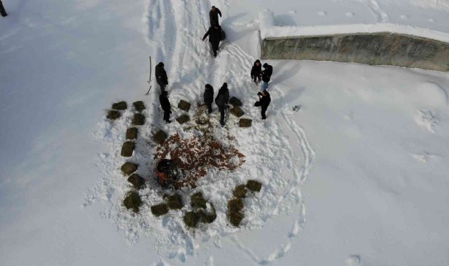 Yaban hayvanları için doğaya 1 ton yem bırakıldı