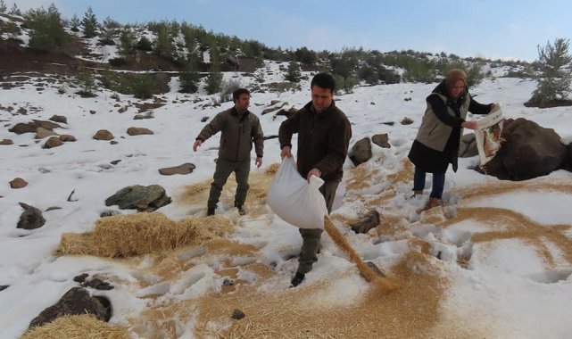 Yaban hayvanları için doğaya yem bıraktılar