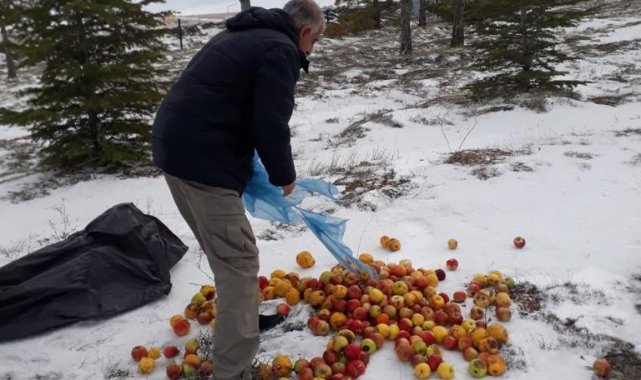 Yaban hayvanları için yem bırakıldı