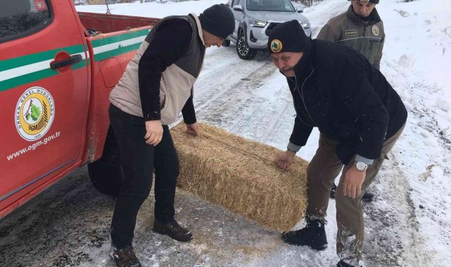 Yaban hayvanları unutulmadı