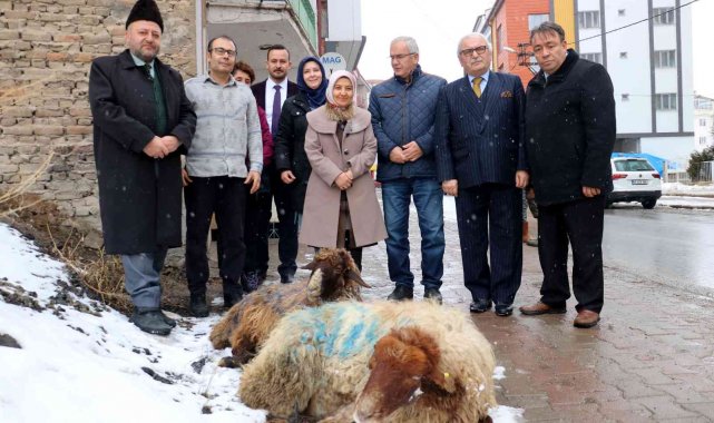 Yağan kar için şükür kurbanı kestiler