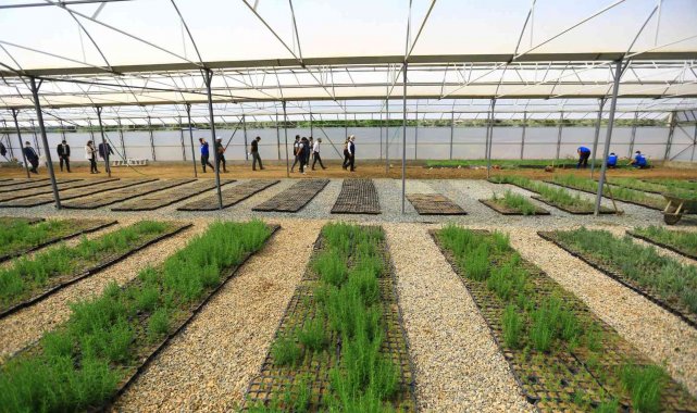 Yağmur hasadıyla yılda 300 ton su tasarrufu