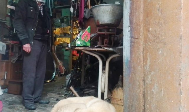 Yağmurdan işyerine sığındı