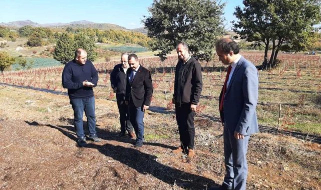 Yalova'dan dünya pazarına