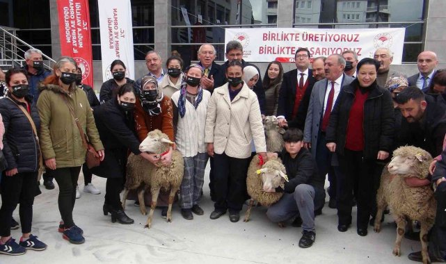 Yangın mağduru kadın üreticilere 10 bin koyun