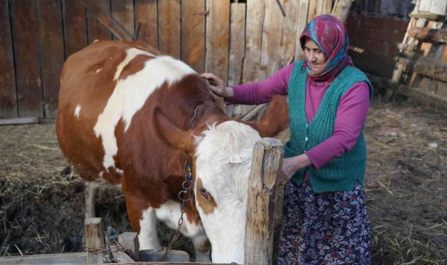 Yangınzede kadın: "Yangında başıma tülbent bile alamadım"