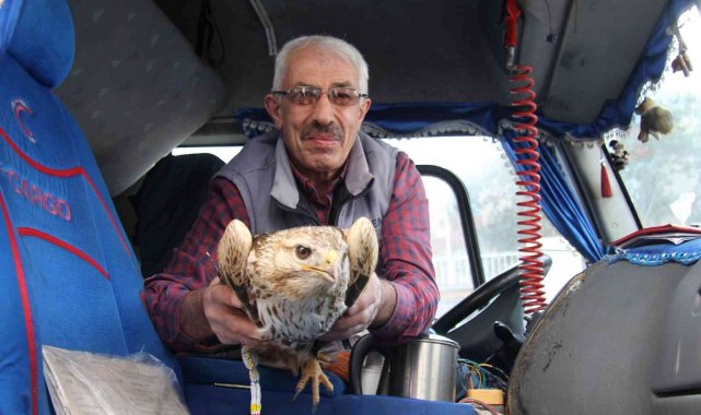 Yaralı kartala Bünyan Belediyesi sahip çıktı