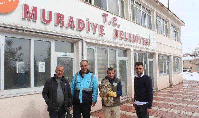 Yaralı Puhuya belediye ekipleri sahip çıktı