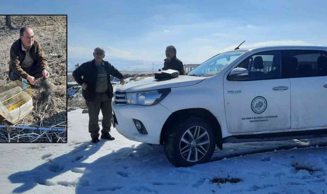 Yasa dışı avlanan 3 kişiye ceza