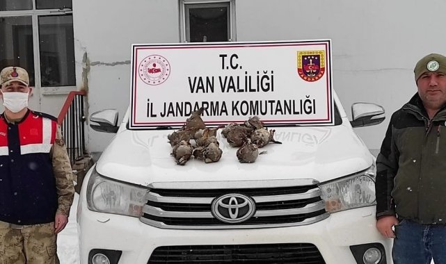Yasadışı avlanan şahıs jandarmaya takıldı