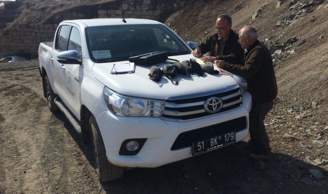 Yasadışı avlananlara ceza