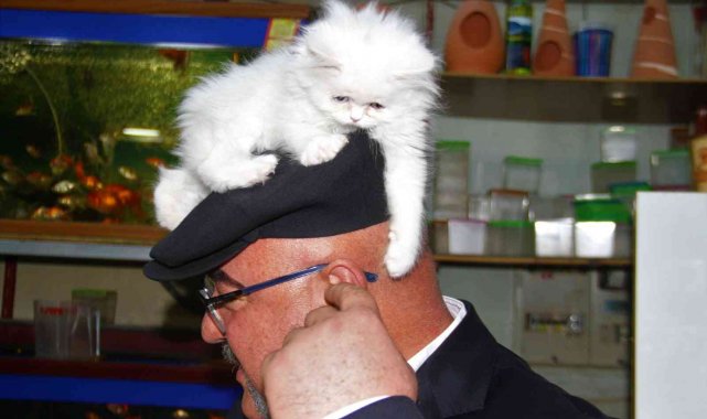 Yavru kediyle görüntüleri gülümsetmişti, her gün gidip kediyle vakit geçiriyor