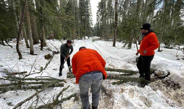 Yayla yollarına devrilen ağaçları kesip yolu açtılar