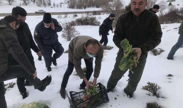 Yemleme çalışmaları devam ediyor