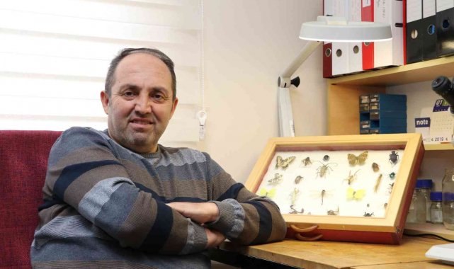 Yenilebilir böcekler gıda kıtlığına alternatif olabilir