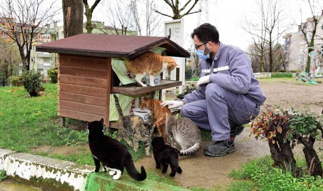 Yıldırım&#039;dan can dostlarına şefkat eli