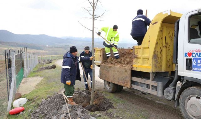 Yol kenarları yeşile bürünecek