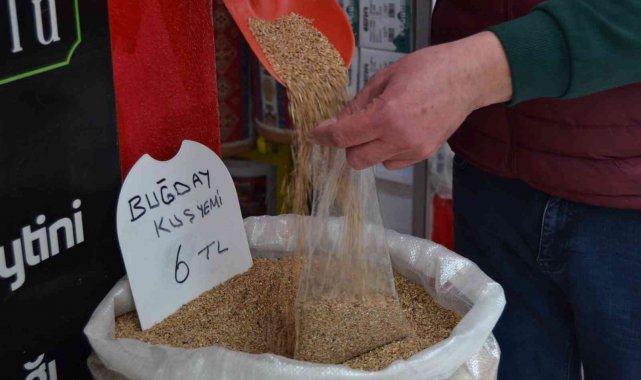 Zamlardan kuşlar da nasibini aldı