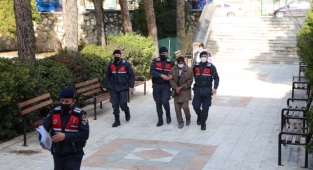 Zeytin hırsızlığı yapan şahıs yakalandı