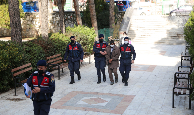 Zeytin hırsızlığı yapan şahıs yakalandı