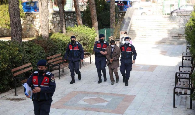 Zeytin hırsızlığı yapan şahıs yakalandı