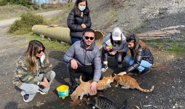 Zonguldak Barosu avukatları sokak hayvanlarını besledi