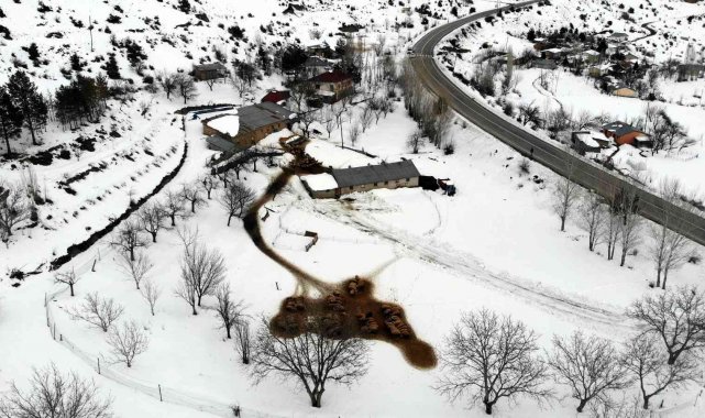 Zorlu kış şartlarında besicilerin 'kuzu' mesaisi