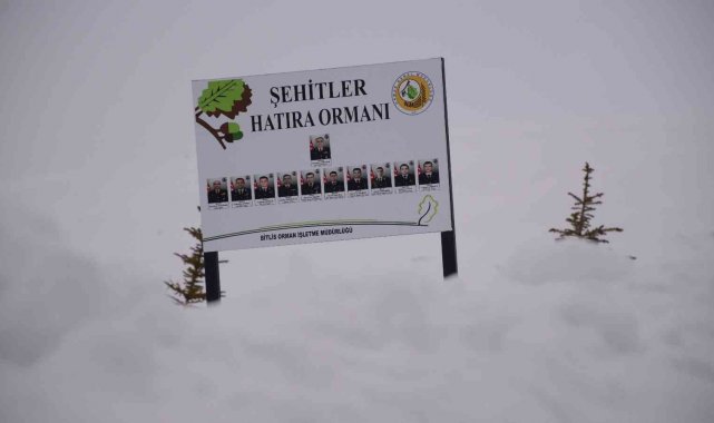 11 askerin şehit olduğu bölgede sis ve kar