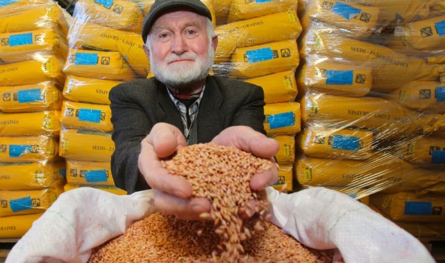 2 bin çiftçiye yem bitkisi tohumu ve gübre desteği