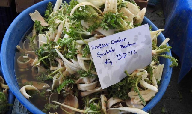 &#039;Profesör doktor&#039; lakaplı otun fiyatı etle yarışıyor