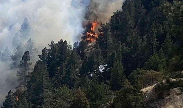 ABD&#039;nin Colorado eyaletinde orman yangını nedeniyle 19 bin kişi tahliye edildi