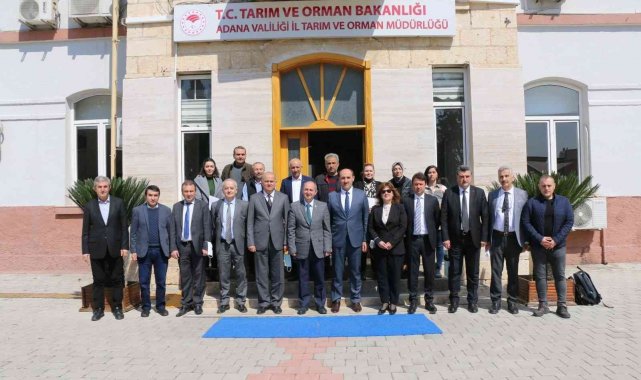 Adana&#039;da ki zirai don olaylarının tarımsal üretime zararı değerlendirildi